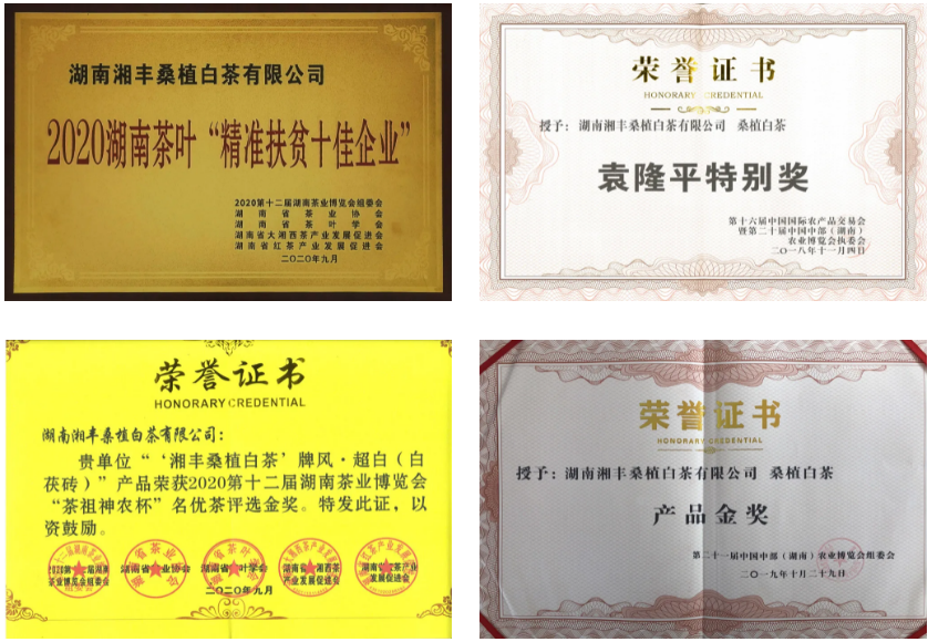 榮譽與資質.png
