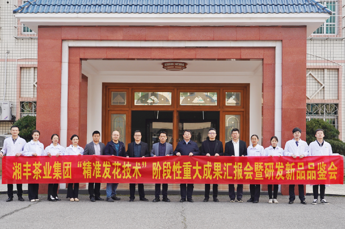 湘豐茶業(yè)集團(tuán)“精準(zhǔn)發(fā)花技術(shù)”取得重大階段性成果！