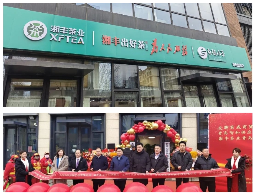 青島旗艦店盛大開業(yè)！湘豐茶業(yè)集團(tuán)全國布局再下一城