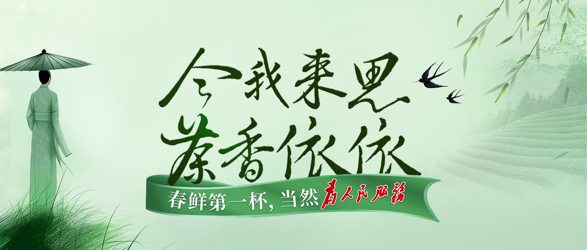 今我來思，茶香依依，湘豐春茶，爭鮮而來！