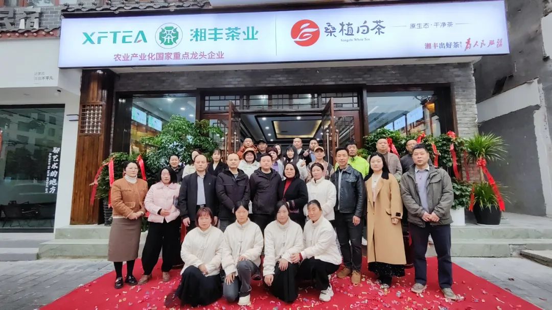湘豐茶業(yè)·桑植白茶張家界武陵源旗艦店盛大開業(yè)！